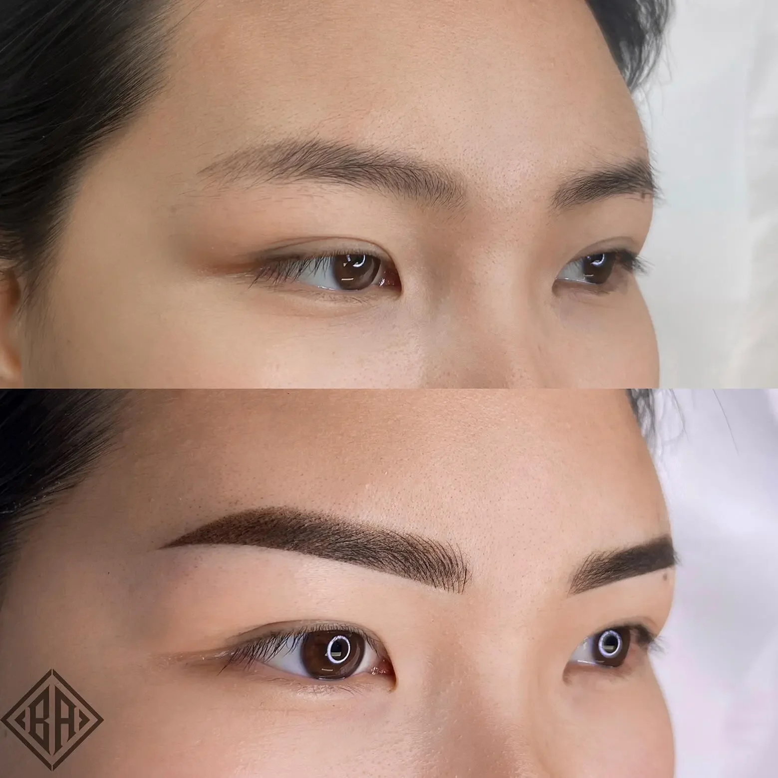 Combo Brows (Microblading + Shading)