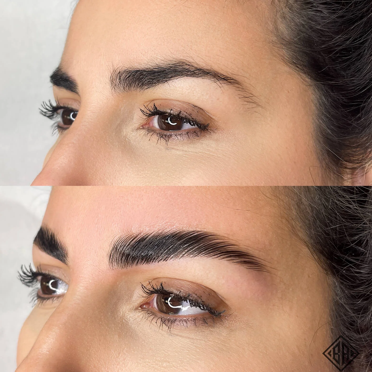 Hybrid Dye Tint — Beauty Art Pro, Geneva (4)
